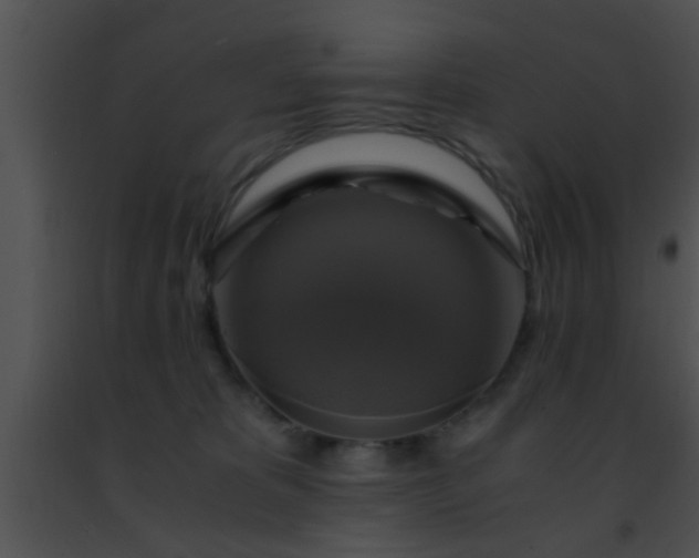 X0000091500325200708302003