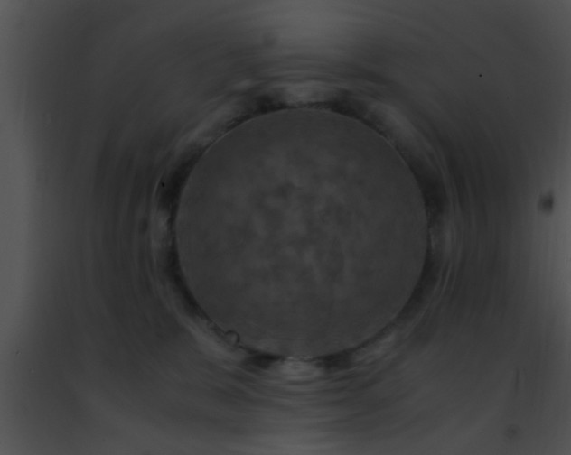 X0000091500327200708302003