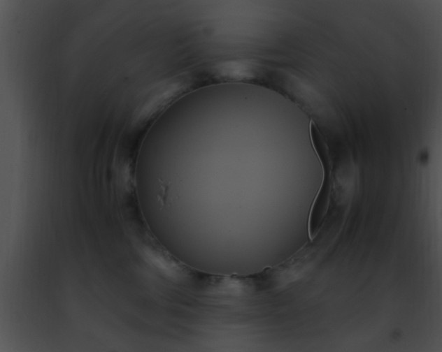 X0000091500330200708302003