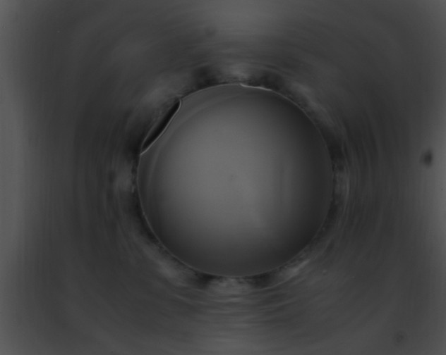 X0000091500331200708302003