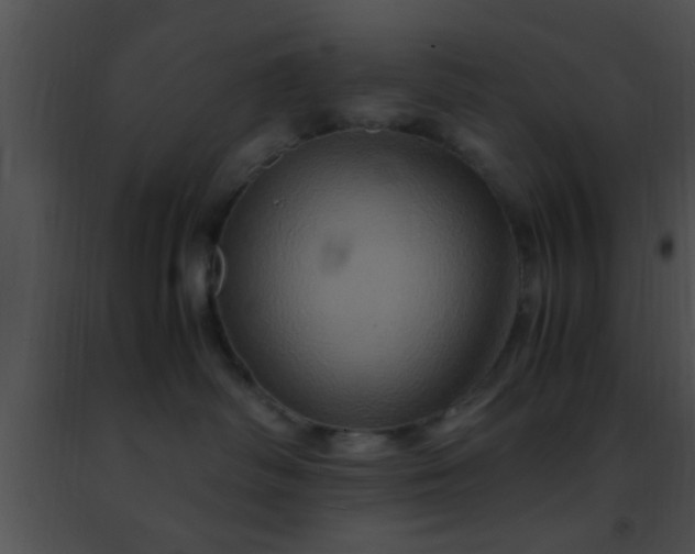 X0000091500334200708302003