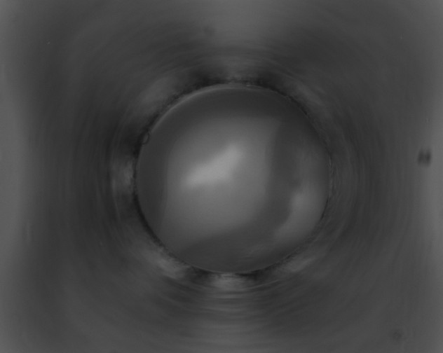 X0000091500336200708302003