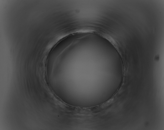 X0000091500337200708302002