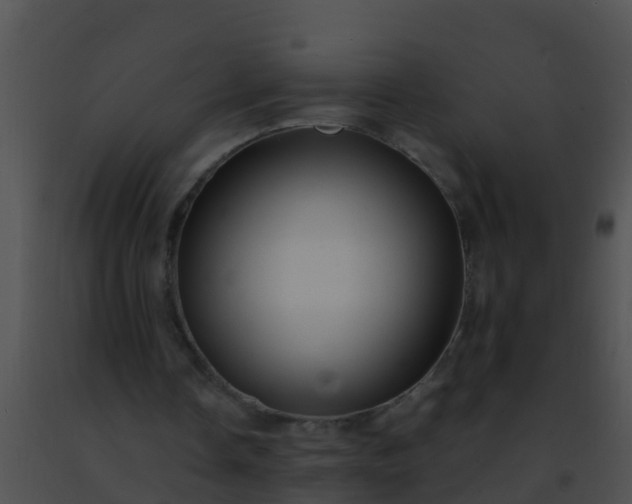 X0000091500338200708302002