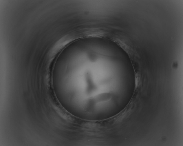 X0000091500339200708302002