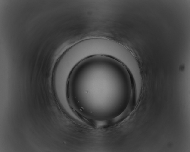 X0000091500340200708302002