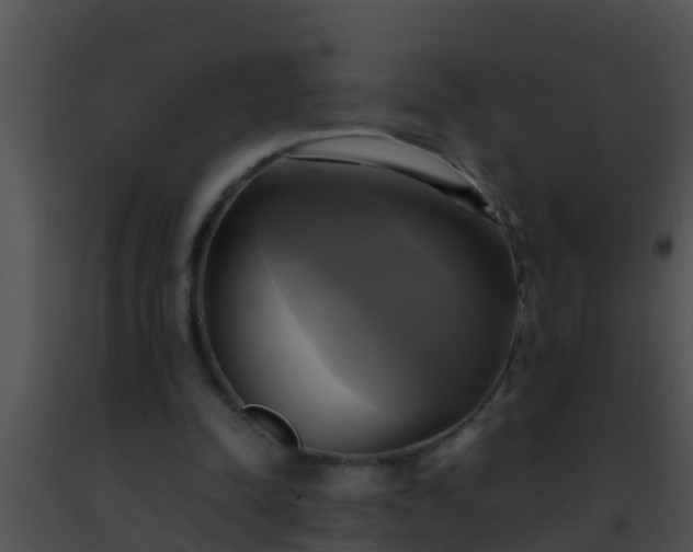 X0000091500342200708302002