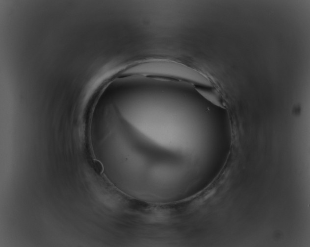 X0000091500343200708302002