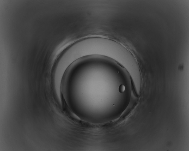 X0000091500344200708302002