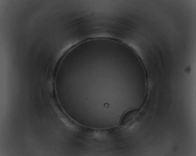 X0000091500345200708302002