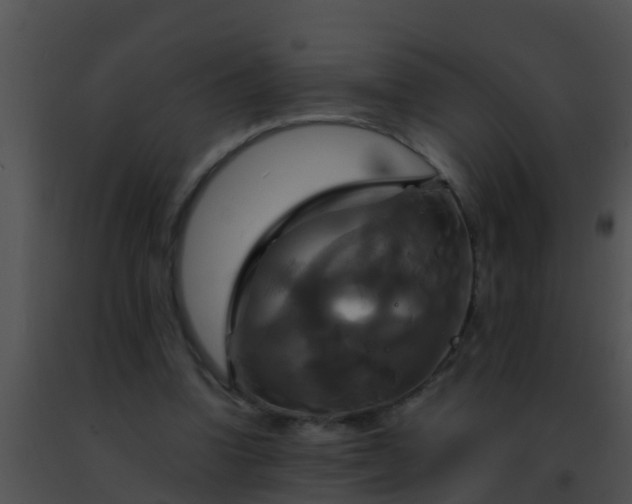 X0000091500346200708302002