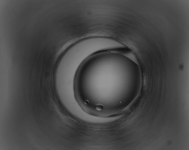 X0000091500348200708302003