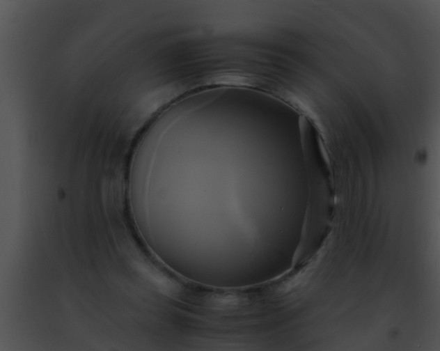 X0000091500349200708302003