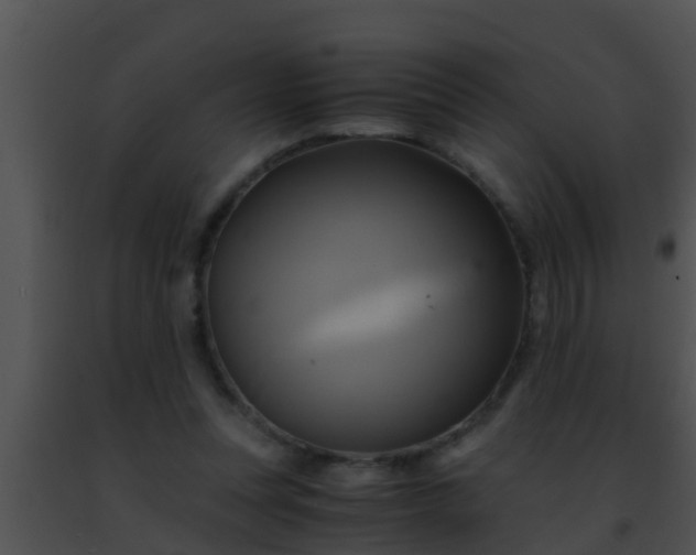 X0000091500351200708302003