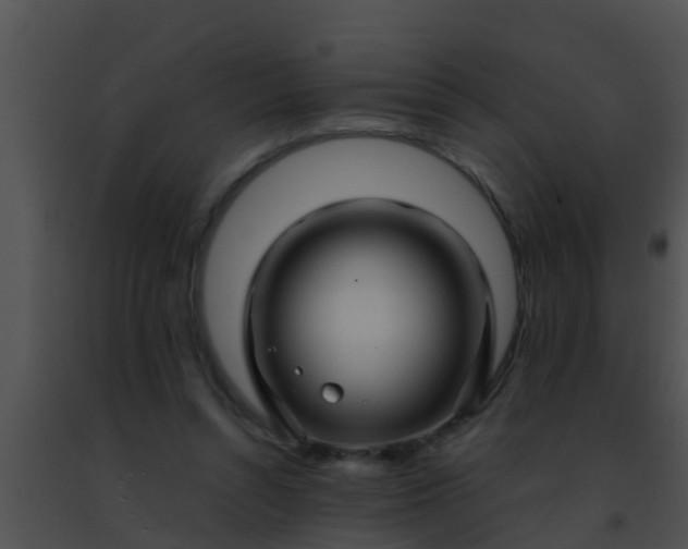 X0000091500352200708302003