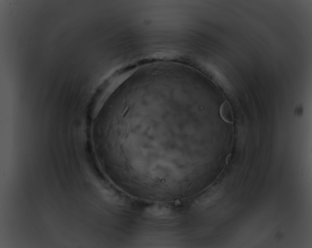 X0000091500354200708302003