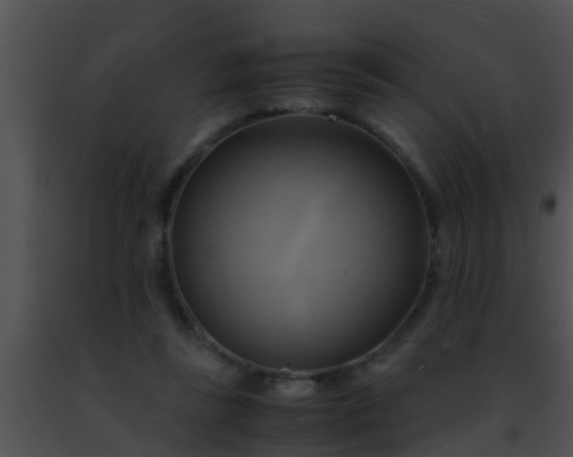 X0000091500355200708302003