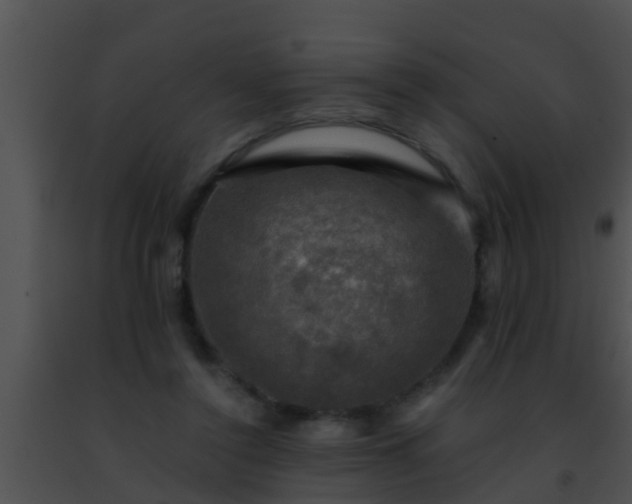 X0000091500356200708302003