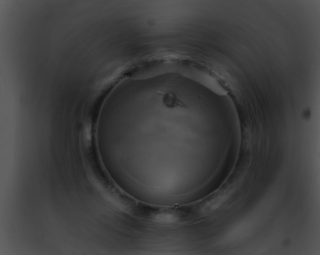 X0000091500358200708302003