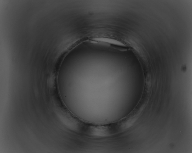 X0000091500359200708302003