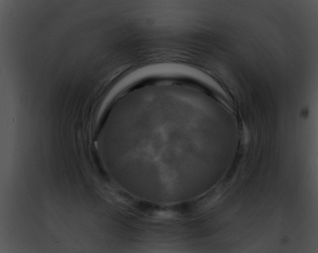 X0000091500360200708302003