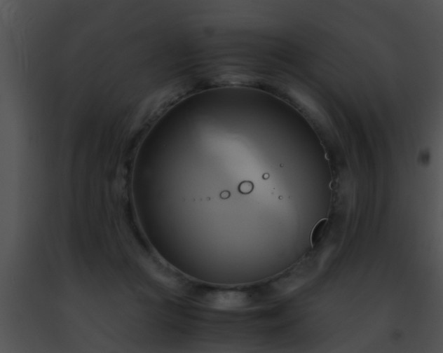 X0000091500361200708302003