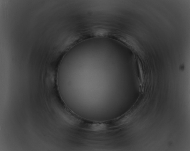 X0000091500363200708302003