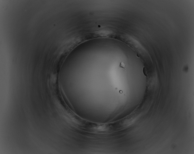 X0000091500365200708302003