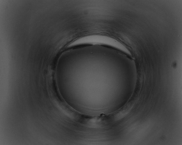 X0000091500366200708302003