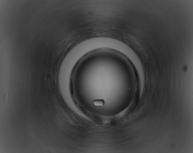 X0000091500368200708302003