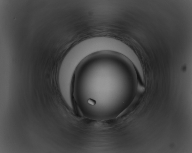 X0000091500372200708302003