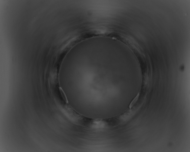 X0000091500376200708302003