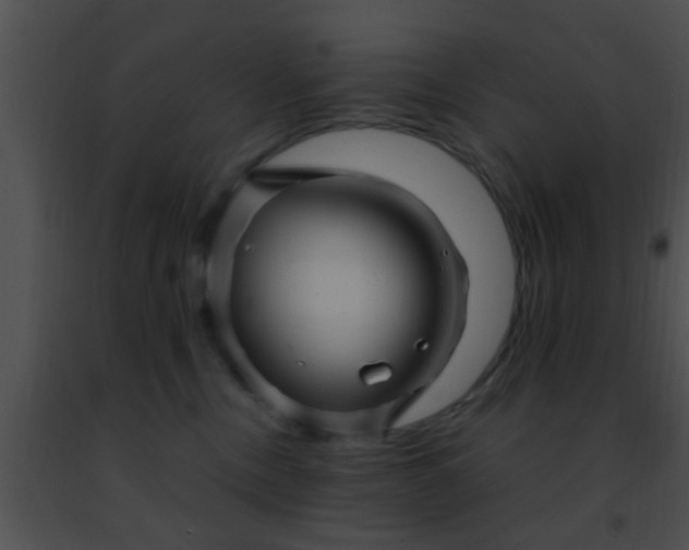 X0000091500378200708302003