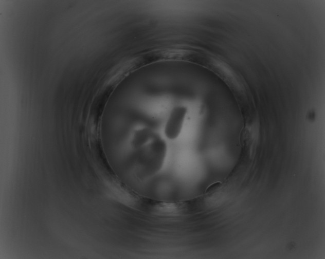 X0000091500381200708302003