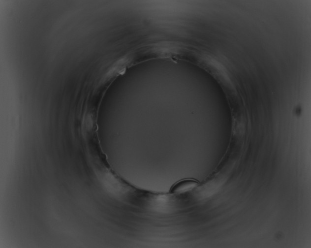 X0000091500382200708302003