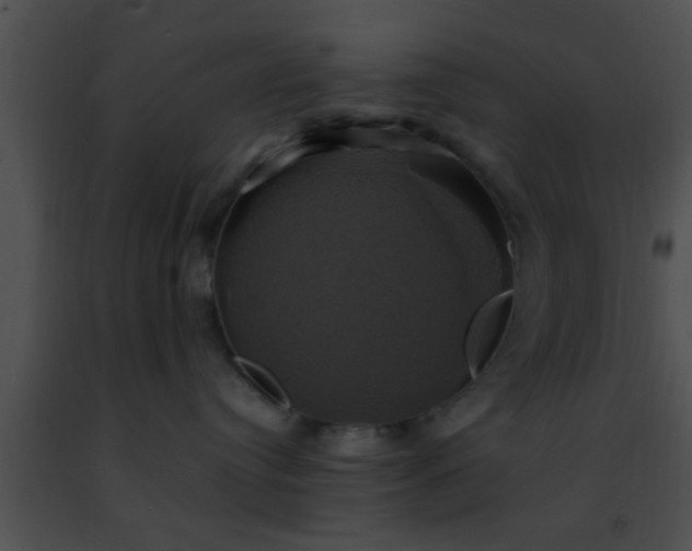 X0000091500384200708302003