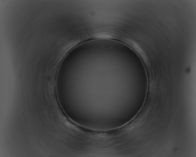 X0000091500385200708302002