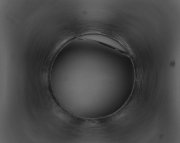 X0000091500386200708302002