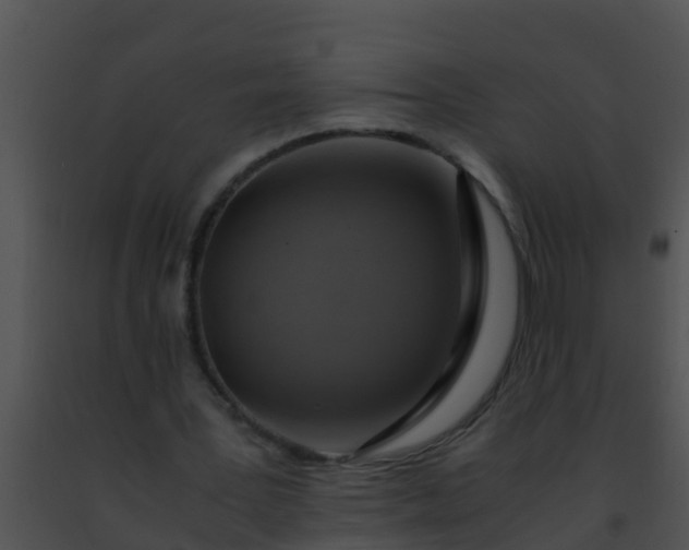 X0000091500387200708302002