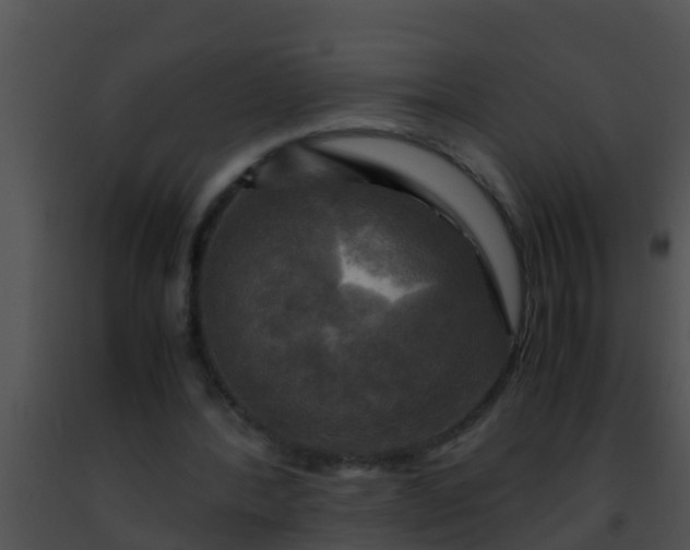 X0000091500388200708302002