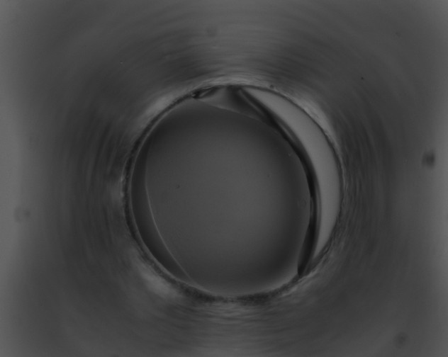 X0000091500389200708302002