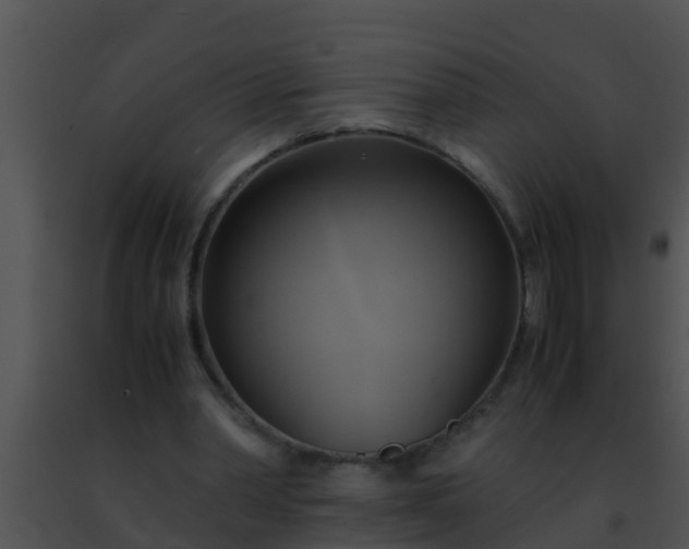 X0000091500390200708302002