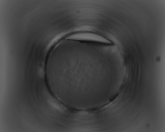 X0000091500392200708302002