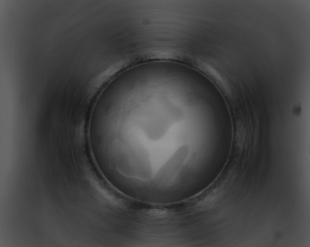 X0000091500394200708302002