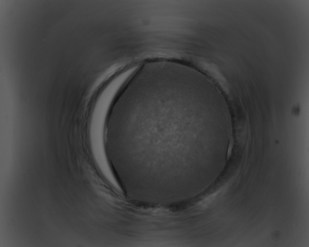 X0000091500395200708302002