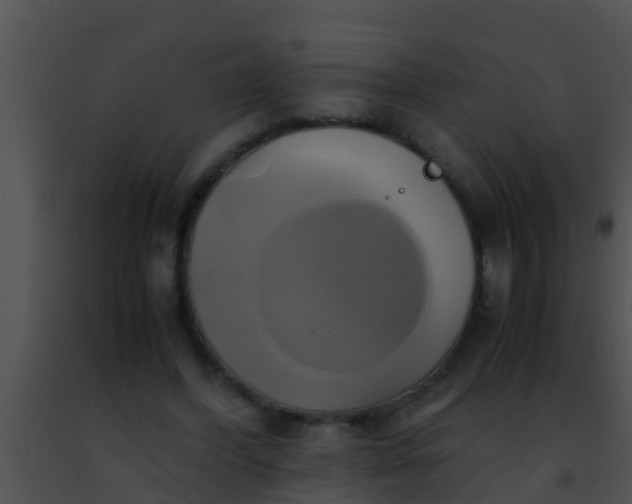 X0000091500396200708302002