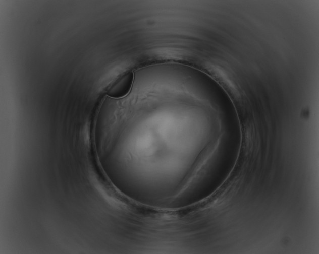 X0000091500398200708302002