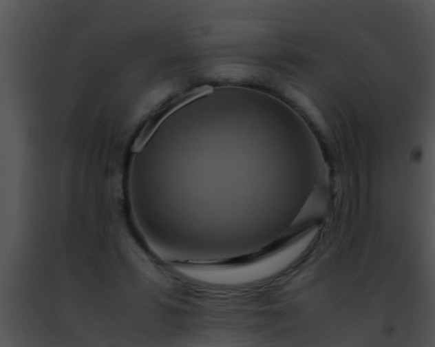 X0000091500399200708302002