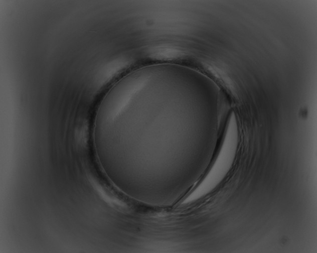 X0000091500400200708302002