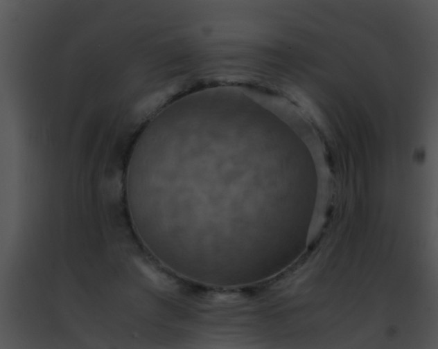 X0000091500401200708302002